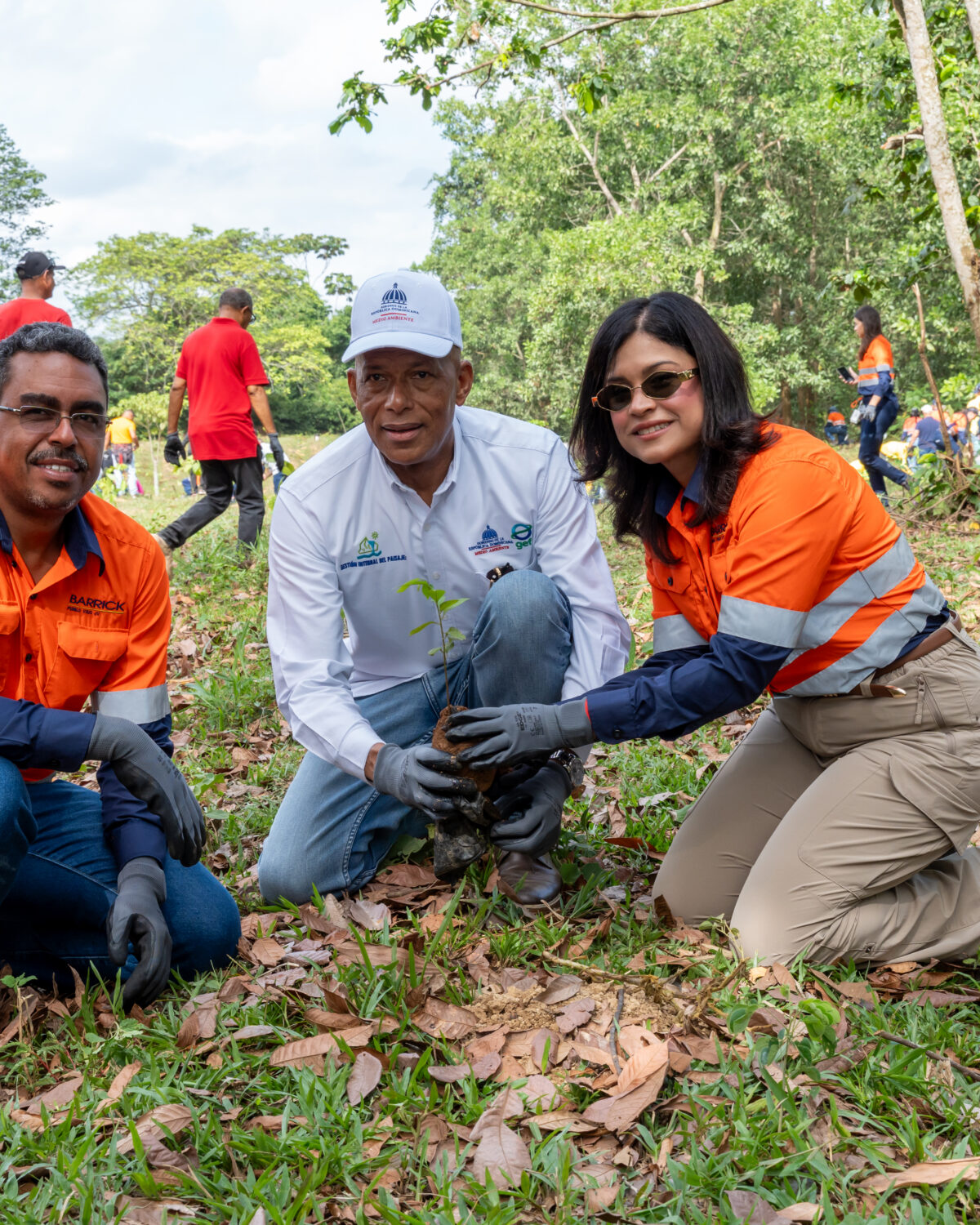 Barrick Pueblo Viejo reforesta 1.2 hectáreas en Hatillo
