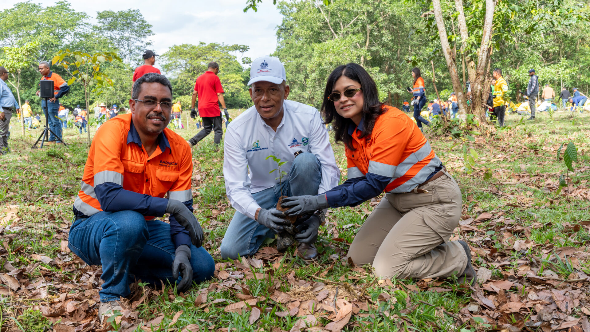 Barrick Pueblo Viejo reforesta 1.2 hectáreas en Hatillo