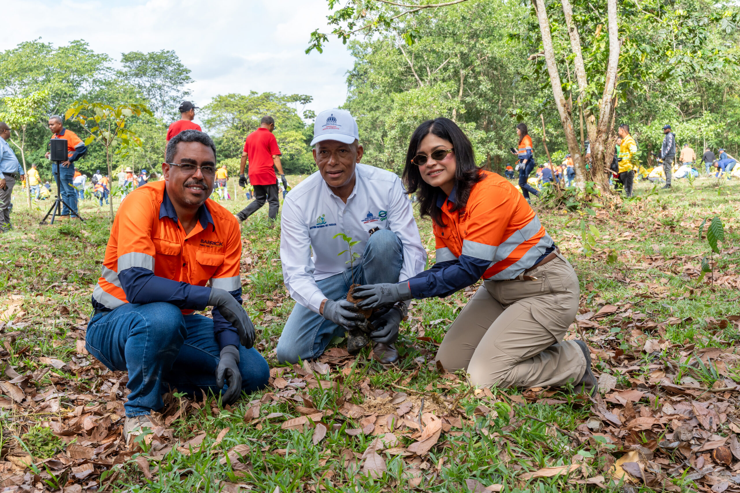 Barrick Pueblo Viejo reforesta 1.2 hectáreas en Hatillo